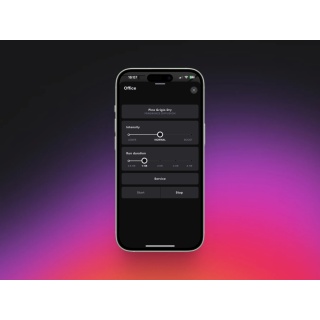 single_phone_perspective